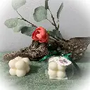 Mărturie lumânare soia panglică verde cub bubble tag Koala Trio