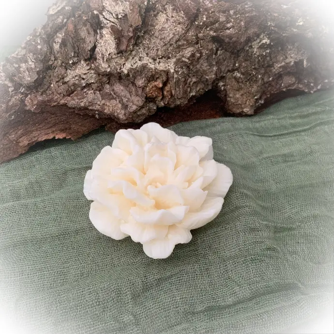 Mărturie lumânare ceară soia bujor cutie acetofan model coroniță regală panglică organza roșie