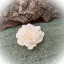 Mărturie lumânare ceară soia bujor cutie acetofan model coroniță regală panglică organza crem
