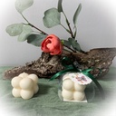 Mărturie lumânare soia panglică verde cub bubble tag Koala Trio