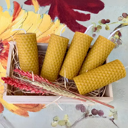 Set 5 lumânări fagure ceară de albine 8x3cm în cutie de lemn